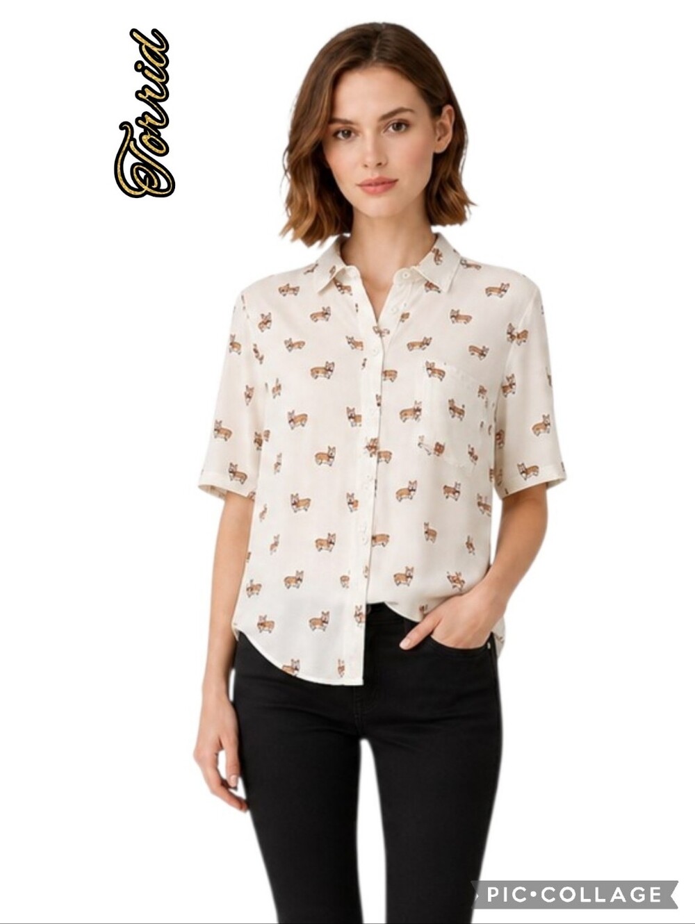 Torrid cream color short-sleeve button blouse pocket gathered & Corgi dog print